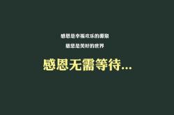 开云sport-孤星耀世，2026世界杯关键战，波兰铁血防线铸就大胜，齐耶赫独舞击溃智利