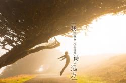 开云体育入口-蓝潮席卷布加勒斯特，2026世界杯D组荷兰横扫罗马尼亚，久保建英孤星闪耀，门神铸就钢铁长城
