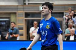 开云体育中国-瑞典乒乓球队绝地反击比利时乒乓球队，樊振东绝境逆转