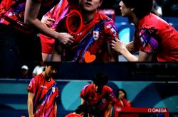 开云体育APP下载-日本乒乓球队绝杀韩国乒乓球队，张本智和关键制胜的简单介绍