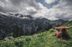 开云体育入口-一场属于丹麦的胜利，与一个名为石宇奇的统治者