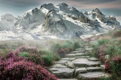 开云体育在线-布克状态火热助广州队险胜雷霆，跨联盟对决惊心动魄