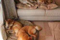 开云体育在线-平行时空的冠军信条，当英超争冠之夜遇见库里的个人英雄主义