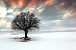 开云体育中国-沙漠风暴席卷永恒之城，罗德里闪电破局，卡塔尔足球写就逆转史诗