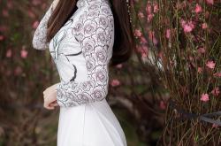 开云sport-金汤城池的裂痕，灰熊如何用速度撕开骑士引以为傲的防守体系？