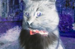 开云体育app-跨界较量！拜仁国家队险胜牙买加，无名英雄凯塞多导演逆转好戏