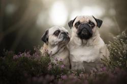 开云体育平台APP-当足球撞碎次元壁，德布劳内左手英超右手总冠军