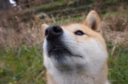 开云体育app-超越胜负的艺术，当帕尔默的指挥棒让欧冠决赛变成个人交响曲