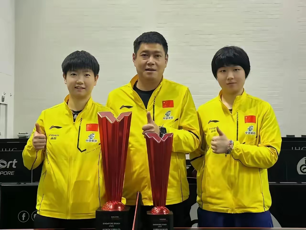 中国羽毛球队完胜印尼羽毛球队，马琳打破历史纪录的简单介绍