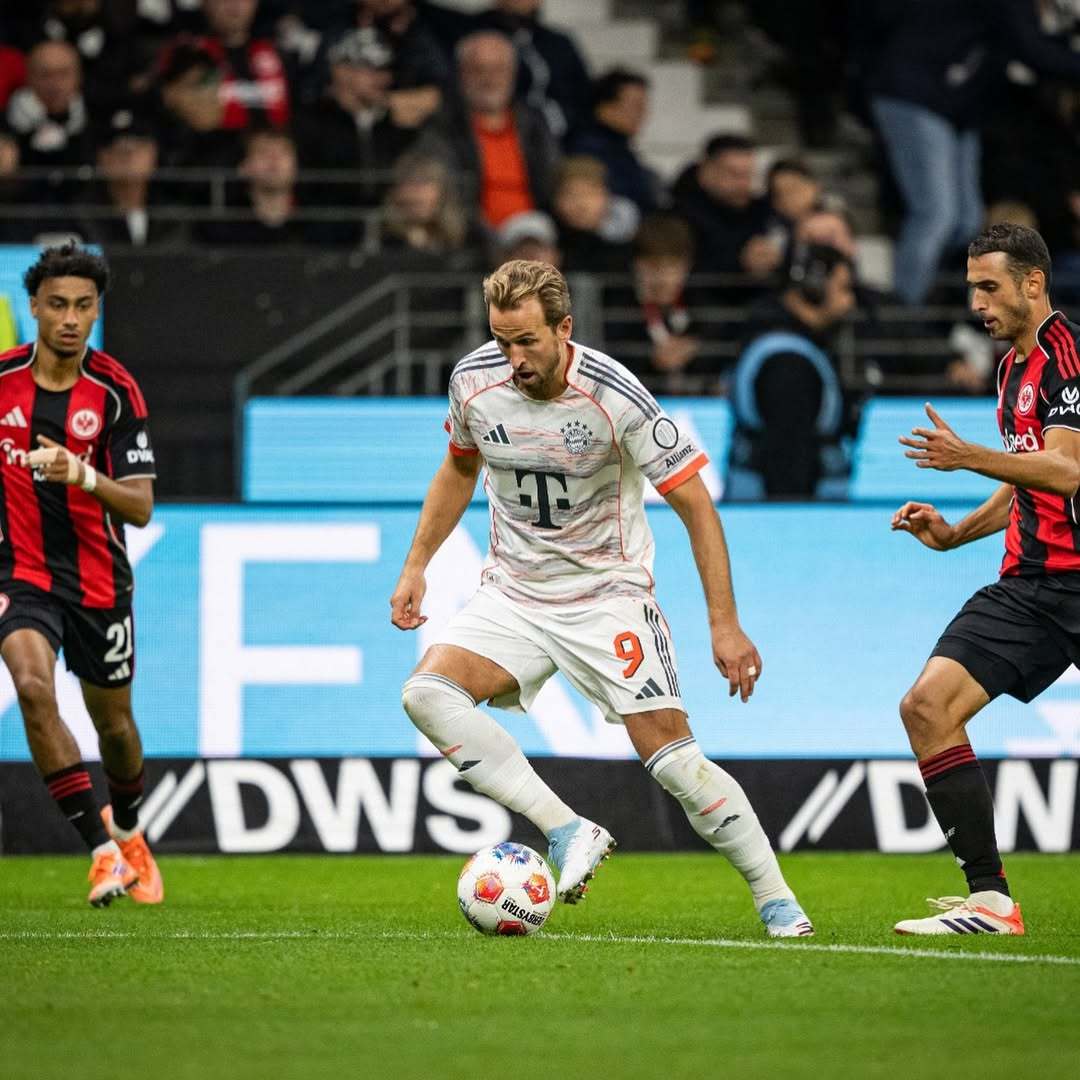 曼城险胜美国,哈里·凯恩统治全场的简单介绍 曼城险胜美国,哈里·凯恩统治全场的简单介绍