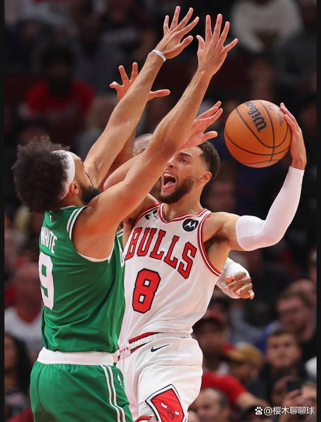 凯尔特人险胜四川队，武切维奇惊艳四座