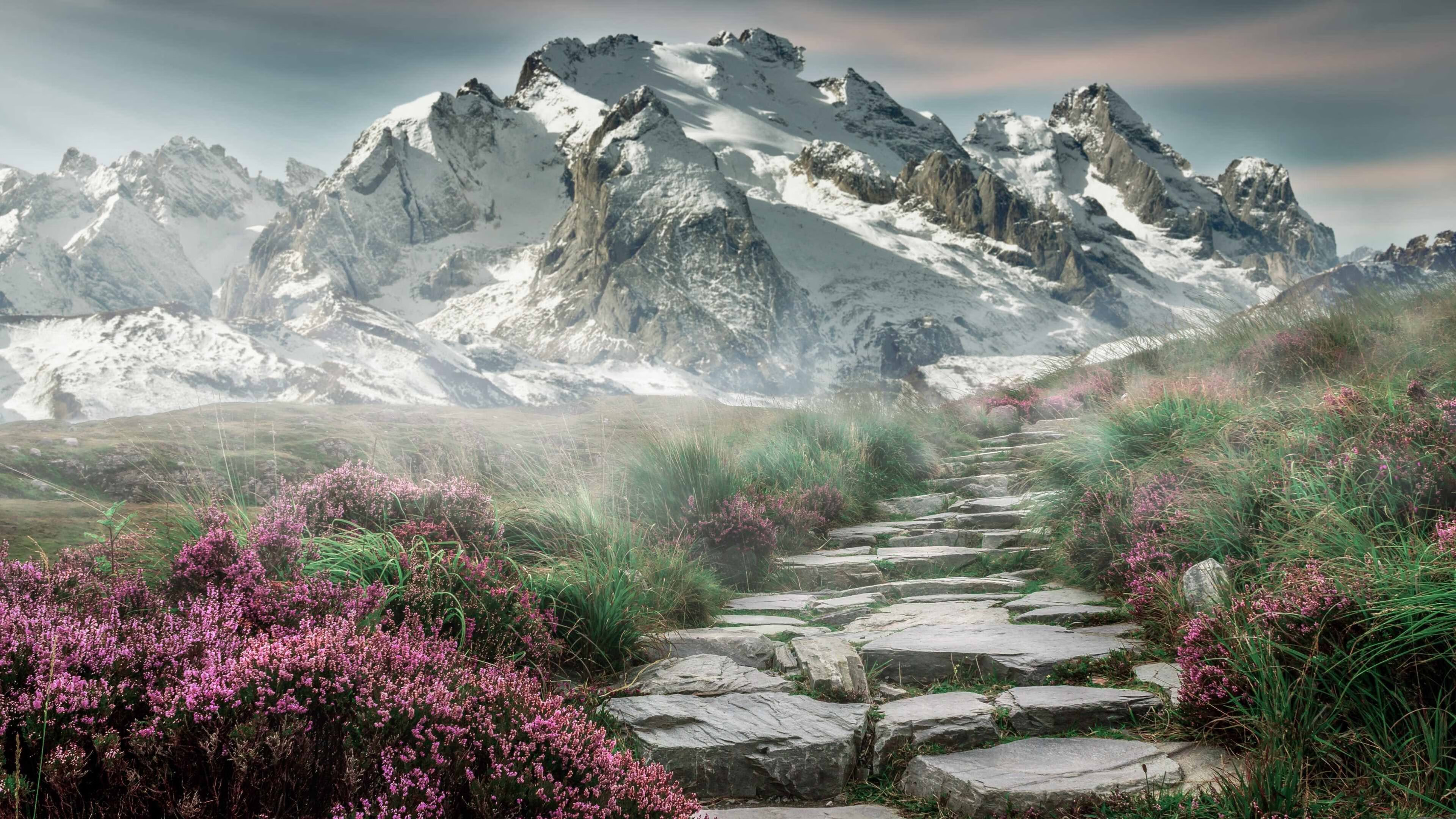 布克状态火热助广州队险胜雷霆，跨联盟对决惊心动魄