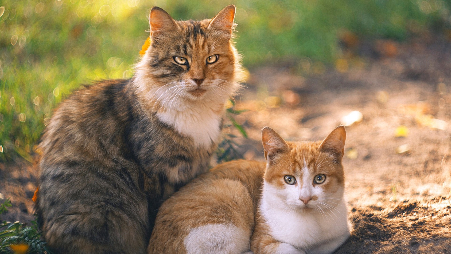 绝境船长，哈登神迹撕裂绿军防线