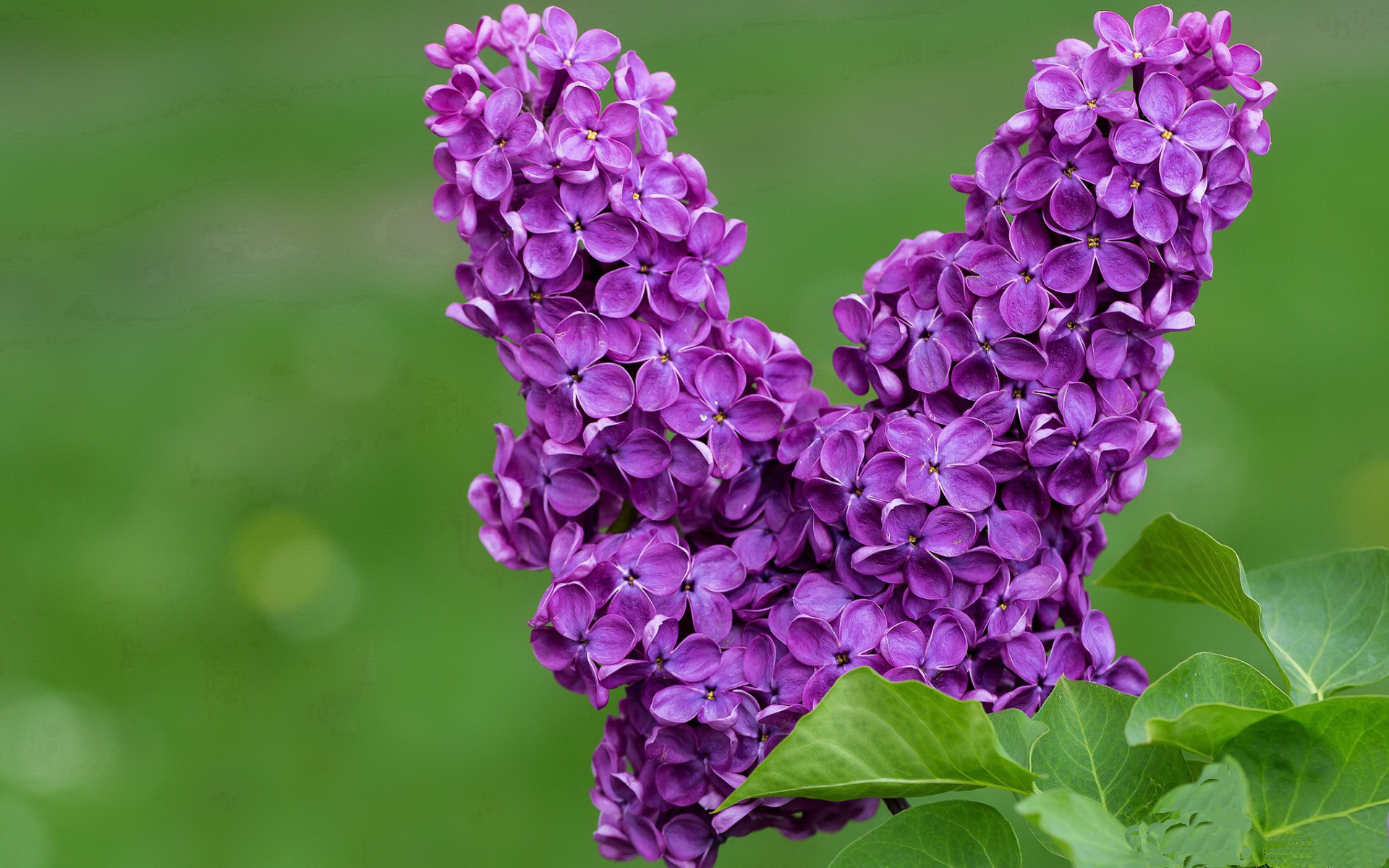 快船展演现代篮球终极形态!伦纳德无视环境关键能力完成最后一块拼图