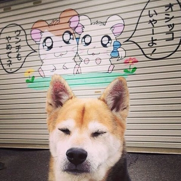 西甲国家德比之夜，皮克，唯有醒狮不惧深渊