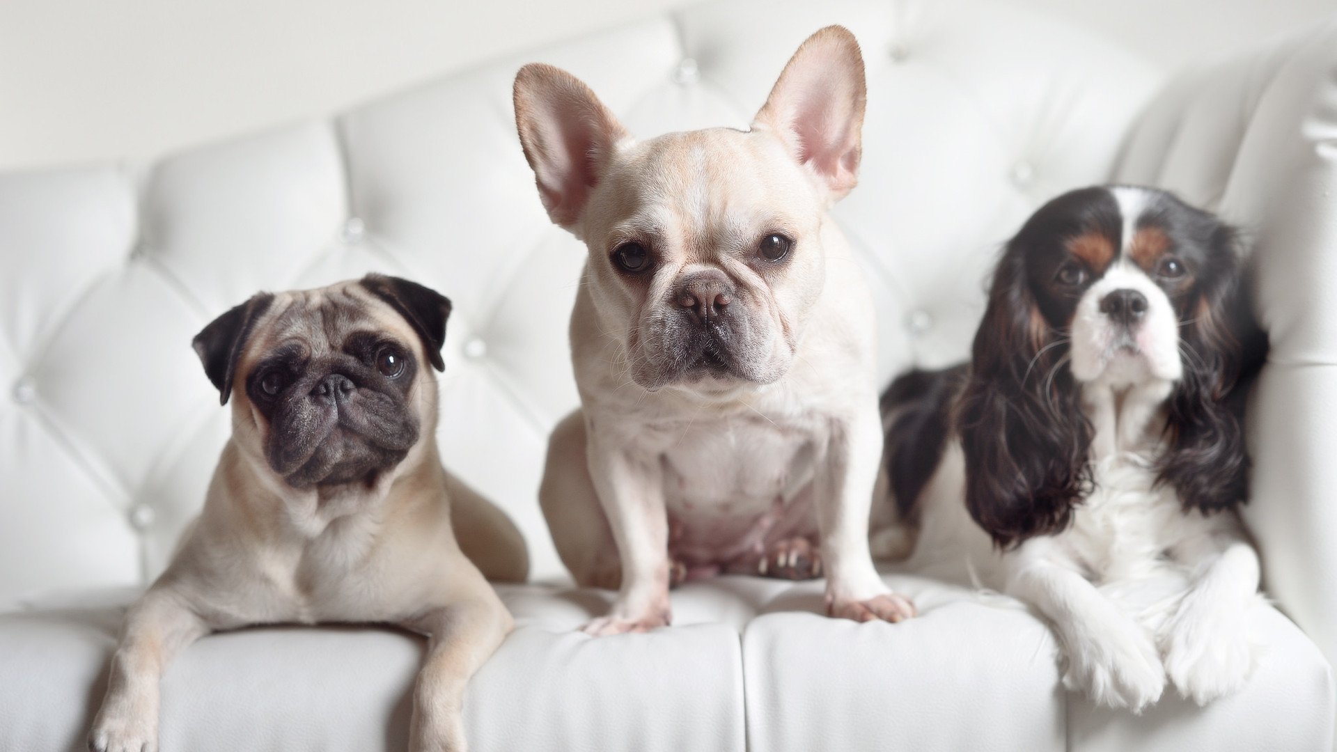 爆冷与接管，当篮球的偶然性驶入F1街道