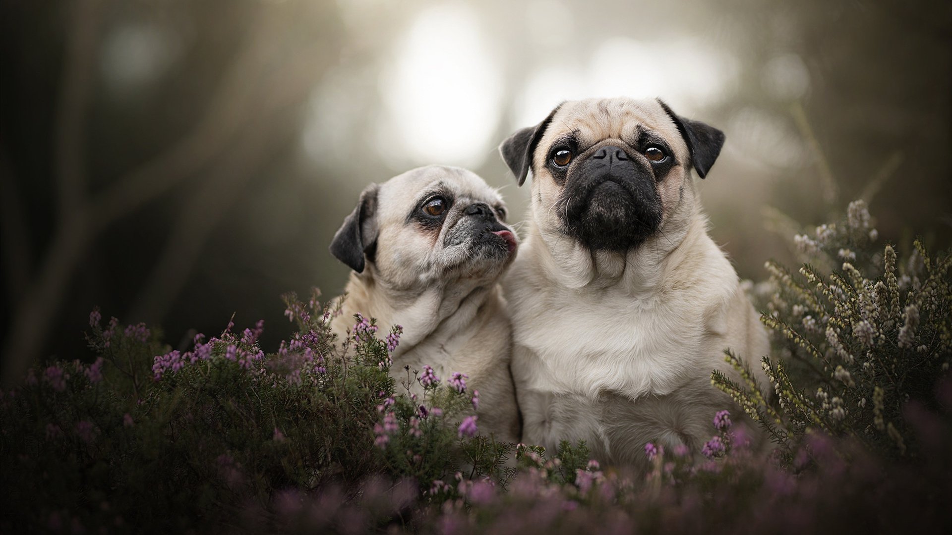 当足球撞碎次元壁，德布劳内左手英超右手总冠军