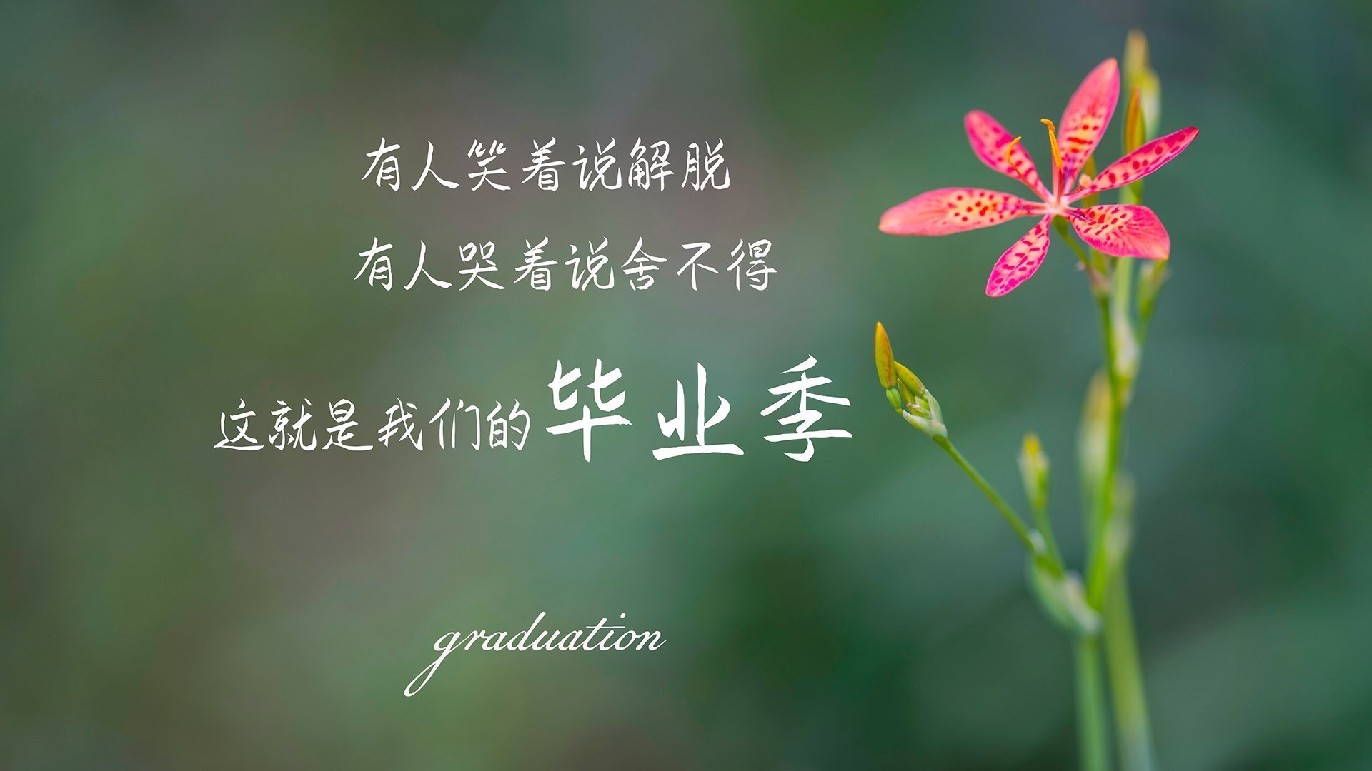 冰火交织,贝恩攻防两端的统治,勇士节奏对山西队的降维打击