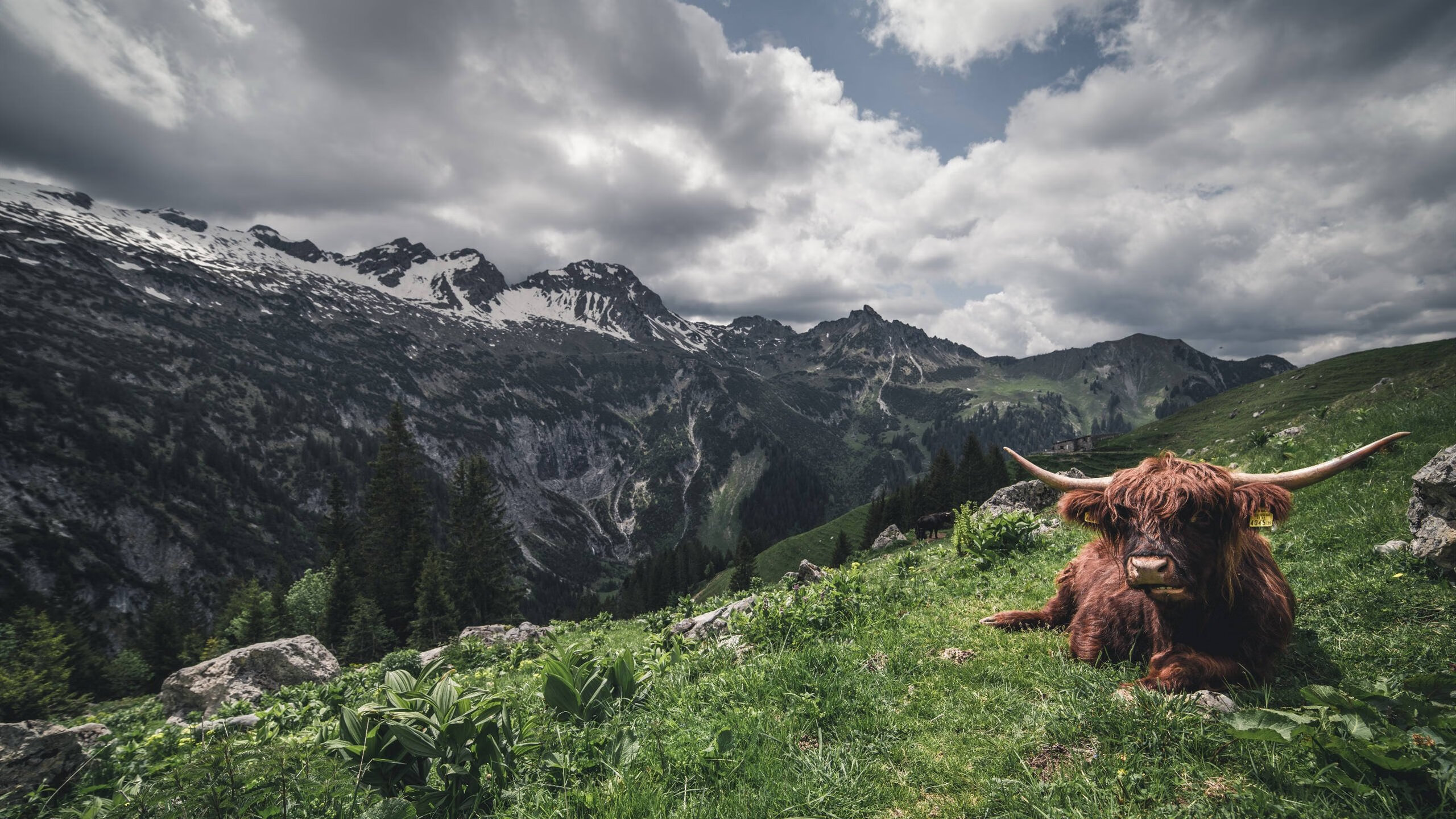 绿茵启示录，塞维利亚的出埃及与哈兰德的神迹降临