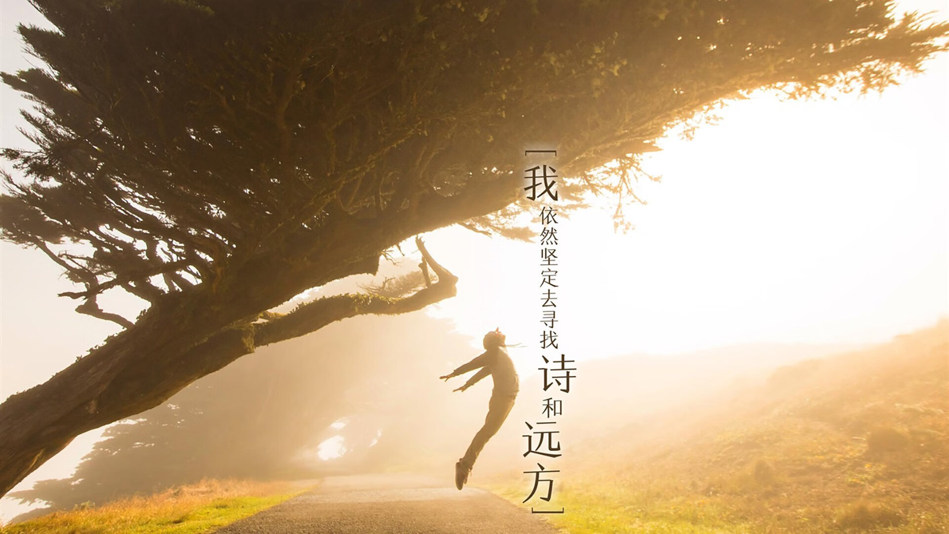 蓝潮席卷布加勒斯特，2026世界杯D组荷兰横扫罗马尼亚，久保建英孤星闪耀，门神铸就钢铁长城
